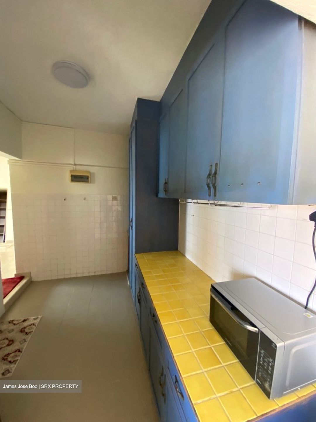 Neptune Court (D15), Apartment #577809481